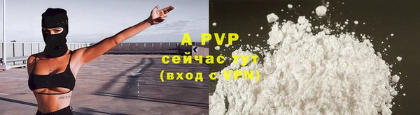 PSILOCYBIN Беломорск