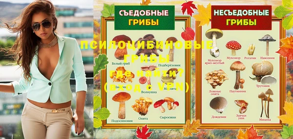 PSILOCYBIN Беломорск