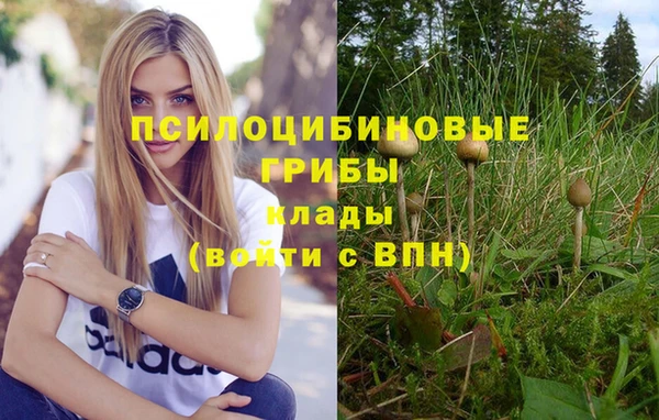 круглые Белокуриха