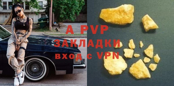 PSILOCYBIN Беломорск