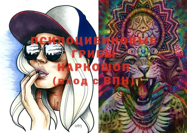 PSILOCYBIN Беломорск