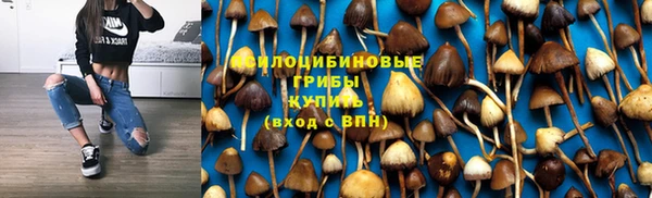 круглые Белокуриха