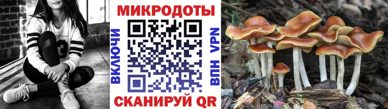 Псилоцибиновые грибы Magic Shrooms  Купить  Тюкалинск 